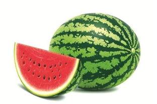 51娱乐网红吃瓜,揭秘娱乐圈幕后真相